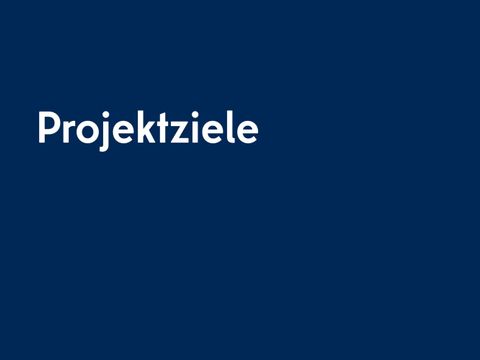 Projektziele