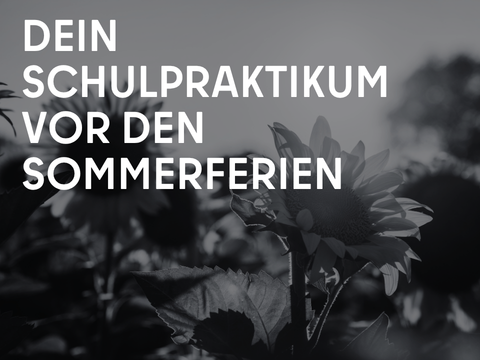 Teaser - Website - Teaser Sommerferien - ENDE