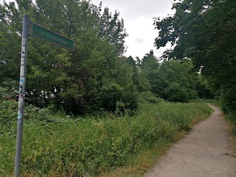Südlicher Egelpfuhlgraben-Grüzung als Teil des Gruenen Rings in Staaken