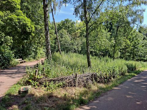 Benjeshecke im Fritz-Schloß-Park