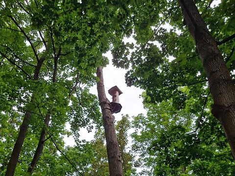 Klotzbeute für Wildbienen im Fritz-Schloß-Park