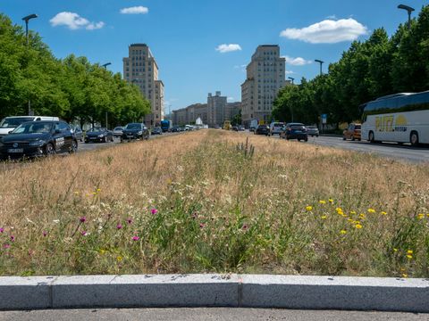 Eindruck aus dem Fördergebiet Karl-Marx-Allee 2. Bauabschnitt