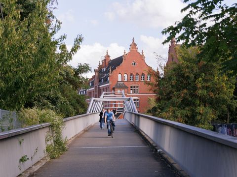 Alfred-Lion-Steg