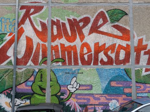 Schriftzug Raupe