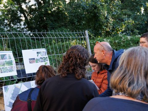 STZ Frieder Gartengestaltung