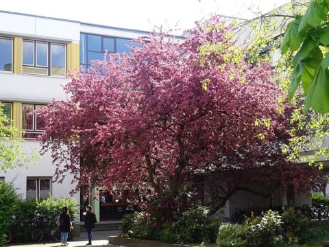 Ruth-Cohn-Schule