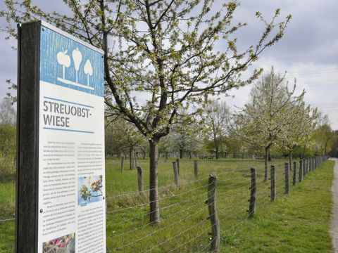 Im Landschaftspark Herzberge informiert eine hohe Tafel mit Text und Fotos über beweidete Streuobstwiesen. Sie steht vor einer umzäunten grünen Wiese. Die jungen Obstbäume haben helle Blüten und sind in lockeren Abständen entlang des Zauns gepflanzt. Am rechten Bildrand führt ein befestigter gerader Weg daran vorbei. In weiter Entfernung spazieren Menschen darüber.