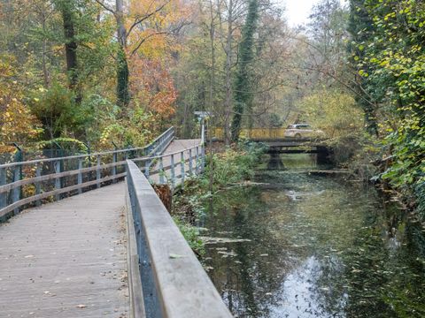 Das NATURA-2000-Gebiet Tegeler Fließtal umfasst drei Naturschutzgebiete und ein Landschaftsschutzgebiet. Die Bohlenstege wurden gebaut, um die Natur zugänglich und die Nutzung verträglich zu machen. (Bild: Christo Libuda (Lichtschwärmer))
