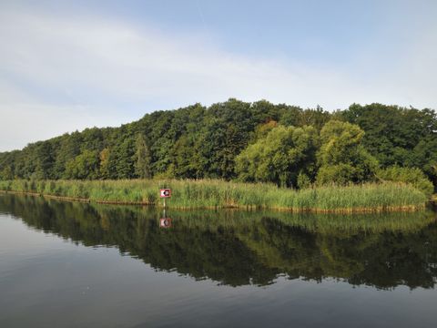 Ein Blick auf den geschützten Röhrichtgürtel am Müggelsee. Die schilfartigen Pflanzen ragen aus dem Flachwasserbereich am Ufer heraus. Vor dem durchgehenden Bewuchs steht ein schwarz-weißes Hinweisschild, das rot umrandet ist. Dahinter wachsen dunkelgrüne Baumkronen dicht an dicht. Bäume, Röhrichtgürtel und Schild werden vom dunklen Seewasser reflektiert. Kleine Wellen verzerren das Spiegelbild leicht. Darüber spannt sich der blau-weiße Himmel.