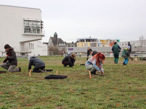 Auf dem begrünten Flachdach der Oberflächenwasseraufbereitungsanlage (OWA) Tegel arbeiten neun Freiwillige, darunter auch ein Junge. In geduckter Haltung oder auf den Knien bepflanzen die meisten von ihnen die weitläufige Freifläche an markierten Stellen. Dazu ist in Bodennähe eine orangefarbene Leine zwischen senkrechten Hölzern gespannt. Alle tragen Winterjacken in gedeckten Farben. Nur eine rothaarige Frau im Vordergrund ist bunt gekleidet.
