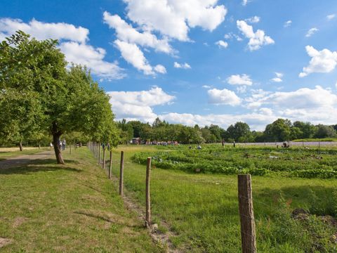 Unter strahlend blauem Himmel mit weißen Wolken verläuft links im Bild ein Weg, gesäumt von Obstbäumen. Darauf sind Spaziergänger unterwegs. Rechts daneben grenzt ein Wildtierzaun einen weitläufigen Gemüsegarten ab. Großflächig sind Beete angelegt. In der Ferne sind einige Leute bei der Gartenarbeit erkennbar. Ganz weit im Hintergrund steht eine Menschengruppe vor Bäumen.
