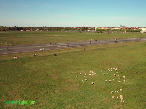 Skudden ersetzen die Mähmaschine. Bild aus „Wildes Berlin“ – eine Serie des Umweltkalenders Berlin (Bild: Stiftung Naturschutz Berlin)