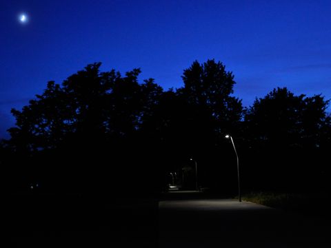 Die Aufnahme zeigt einen beleuchteten Parkweg bei Nacht. Am dunkelblauen Himmel steht klein der Mond. Vor den schwarzen Silhouetten ausladender Baumkronen erhellen Laternen punktuell den Gehweg. Ihr Licht fällt kegelförmig auf den Betonboden, in den Abständen zwischen den Laternen ist es dunkel.