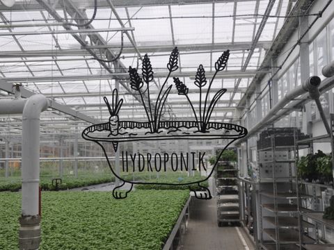 Ein Blick durch eine Gewächshausscheibe auf Basilikumplantagen der Firma ECF Farmsystems. Ein transparenter Aufkleber mit einer Zeichnung klebt daran: Aus einer gefüllten Badewanne mit der Aufschrift „Hydroponik“ ragen eine Möhre und Ähren. Im Gewächshaus gedeihen die üppig grünen Basilikumpflanzen auf mehreren Hochbeeten dicht an dicht. Am rechten Bildrand sind Regalwagen mit Kräutertöpfen vor einer Zwischenwand des Gewächshauses abgestellt.