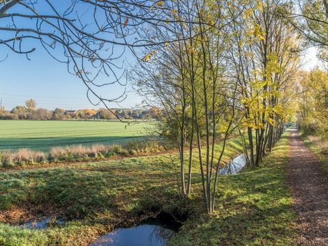 Naturnahe Gewässer verbessern den Wasserhaushalt der Malchower Aue – zum Nutzen vieler Tiere und Pflanzen