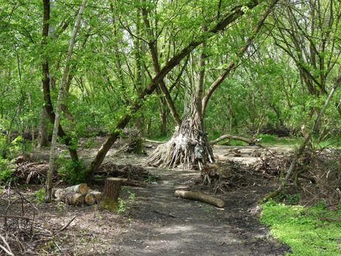 Naturerfahrungsraum Wilde Welt am Kienberg. (Bild: Eike Friederici)