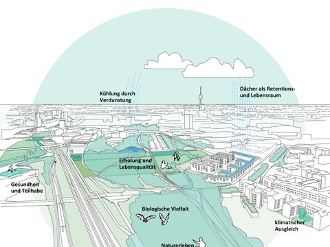 Eine gezeichnete Stadtansicht zeigt, was das Grün für das Ökosystem Stadt leistet. Links ein Fußballfeld auf einem Dach: Gesundheit und Teilhabe. Mittig auf einer Grünfläche steht: Erholung und Lebensqualität, Naturschutz, Biologische Vielfalt, Biotopverband, Naturerleben. Rechts schließen sich Gebäude an: Klimatischer Ausgleich. Verdunstung geht von einem blauen Bereich im Park aus: Kühlung durch Verdunstung. Niederschlag sammelt sich auf einem Flachdach: Dächer als Retentions- und Lebensraum.