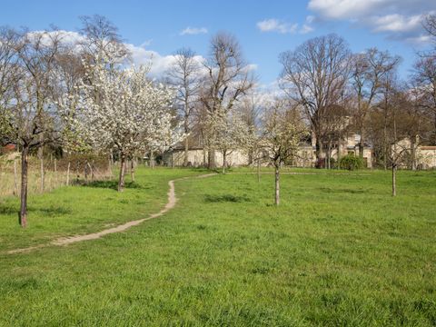 Über eine grüne sonnenbeschienene Wiese schlängelt sich links im Bild ein Trampelpfad. Zu beiden Seiten stehen Obstbäume. Bei einigen sprießen erste zartgrüne Blätter, andere tragen eine üppige Blütenpracht. Im Hintergrund ragen hohe kahle Bäume in den blauen Himmel und die Friedhofsmauer aus hellen Steinen grenzt an die Streuobstwiese.