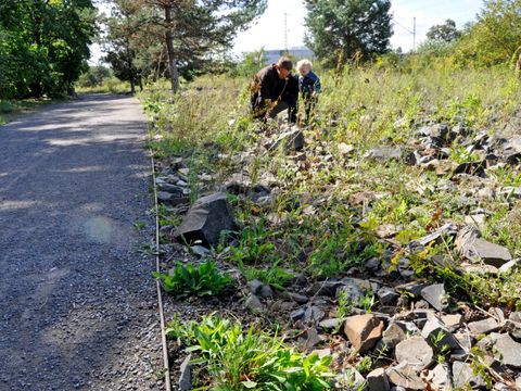 Ein dunkelhaariger Mann hockt auf einem Schotterhabitat im Park am Gleisdreieck. Neugierig steht ein blondes Kleinkind neben ihm. Die beiden haben ihren Blick nach unten auf das unwegsame Beet gerichtet. Es ist von Schotteransammlungen sowie wild wachsenden Pflanzen und Gräsern durchzogen. Links neben der Fläche verläuft ein breiter Splittweg.