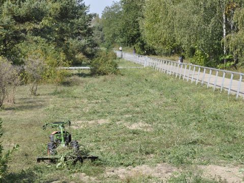 Pflegearbeiten im Park am Nordbahnhof (Bild: bgmr Landschaftsarchitekten)