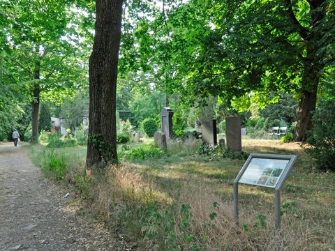 Unter den grünen Baumkronen des Luisenstädtischen Friedhofs ragen Grabsteine und Stelen auf. Bepflanzte Gräber liegen in Gruppen beieinander, dazwischen wächst Gras. Im Vordergrund bildet das Sonnenlicht, das durch die Blätter des alten Baumbestands scheint, helle Flecken auf einer von hellbraunen Gräsern durchzogenen Wiese. Davor ist eine Informationstafel mit vier Fotos aufgestellt. Am linken Bildrand verläuft ein Weg.