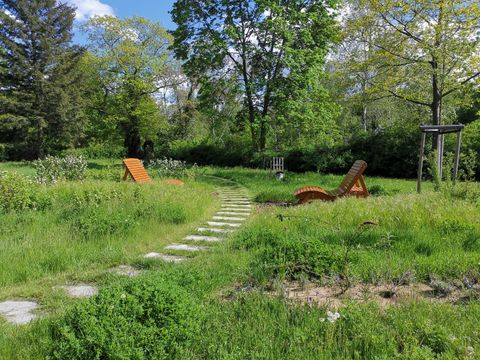 Waldfriedhof Oberschöneweide: Neue Gehölze, die Vögeln Nahrung bieten, insektenfreundliche Langgraswiesen und Stauden an einem Spazierweg. (Bild: Maria Reusrath)