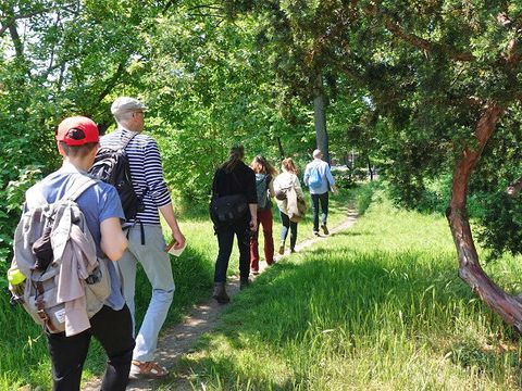 Das Bild zeigt eine Gruppe von Menschen, die hintereinander auf einem schmalen Pfad durch eine grüne, von Bäumen und Wiesen geprägte Landschaft wandern. Die Personen tragen Rucksäcke und Freizeitkleidung. Sonnenlicht fällt durch das Blätterdach, die Stimmung wirkt entspannt und naturverbunden.