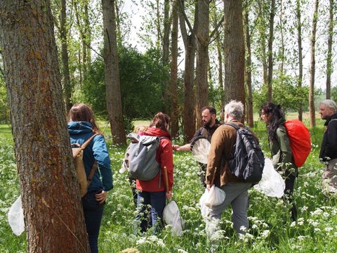 (Bild: Stiftung Naturschutz Berlin / Felix Riedel)