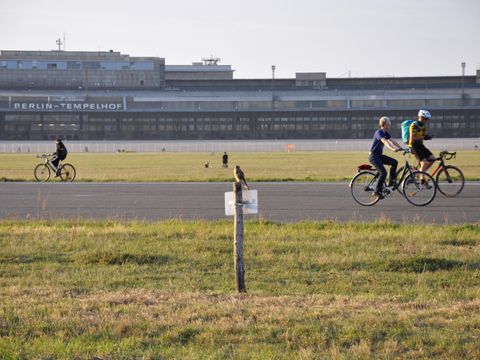 Auf dem Tempelhofer Feld sind drei Radfahrer auf einer ehemaligen Rollbahn des Flughafens unterwegs. Zwei Männer fahren nach rechts, eine dritte Person nach links. Die asphaltierte Rollbahn wird von ausgedehnten Wiesen begrenzt. Im Vordergrund sitzt ein Turmfalke auf einem Pflock, an dem ein Schild befestigt ist. Im Hintergrund erstreckt sich die frühere Flugsteighalle mit dem Schriftzug: Berlin - Tempelhof.