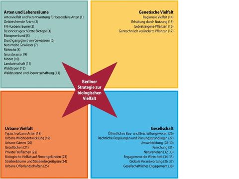 Vier Themenfelder und 38 Ziele der Berliner Biodiversitätsstrategie (Bild: SenMVKU)