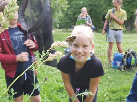 Schmetterlingsspaziergang (Bild: Guy Pe‘er / iDiV)