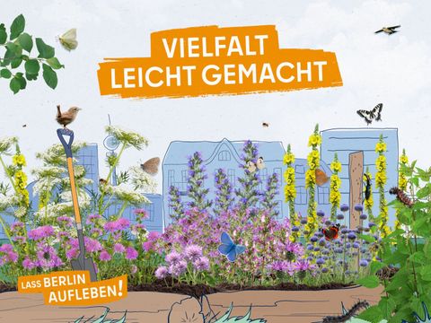 Die Grafik „Vielfalt leicht gemacht“ zeigt vor gezeichneten Häusern von Berlin ein Beet mit Fotos von blühenden Wildpflanzen wie Wilde Möhre mit weißen Blüten, violette Flockenblume und Skabiose, blauer Natternkopf und gelbe Königskerze. Schmetterlinge tummeln sich auf den Blüten: Schornsteinfeger, Hauhechel-Bläuling, Kohlweißling, Admiral, Ochsenauge sowie Schwalbenschwanz. Raupen sitzen auf einer Brennnessel, ein Zaunkönig auf einem Spatenstiel, Bienen fliegen umher.