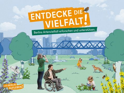 Die Grafik „Entdecke die Vielfalt!“ zeigt eine Grünfläche im Gleisdreieck-Park. Links sitzt ein Kohlweißling auf den Blüten eines Natternkopfs, eine Brennnesselpflanze wächst bei einer Birke. Rechts saugt eine Wildbiene Nektar von einer Königskerze. Ein Hauhechel-Bläuling sitzt auf einer Rotklee-Blüte. Ein Kind betrachtet die Pflanze durch eine Lupe. Ein Rotkehlchen und ein Fuchs bevölkern die Grünfläche. Eine Frau schaut durch ein Fernglas, ein Mann im Rollstuhl zeigt auf einen Grünspecht.