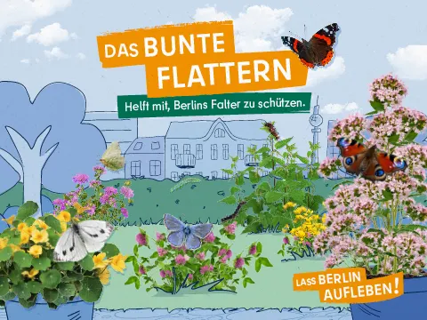 Titelbild: Das bunte Flattern