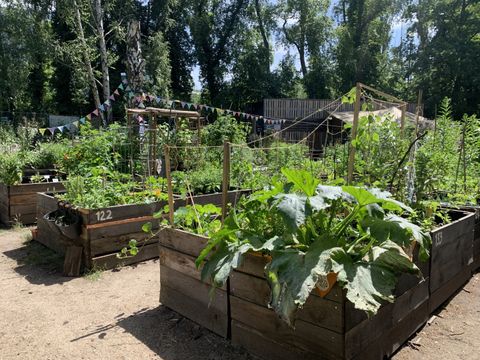 Hochbeet im Gemeinschaftsgartenprojekt himmelbeet in Berlin-Wedding (Bild: himmelbeet gGmbH )