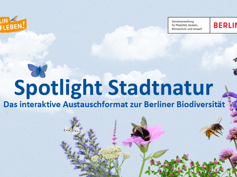 Spotlight Stadtnatur (Bild: SenMVKU)
