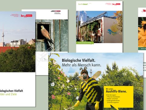 Die Abbildung zeigt einige Publikationen der Berliner Senatsverwaltung für Umwelt, Verkehr und Klimaschutz. Darunter ist auch ein Plakat mit dem Titel: Biologische Vielfalt: Mehr als ein Mensch kann. In einem gelben Rechteck steht: Wir suchen Aushilfs-Biene. Daneben ein Foto: ein Mann in einem Bienenkostüm bestäubt mit einem Pinsel eine Rosenpflanze.