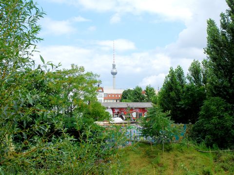 Ein erhöhter Blick auf eine wilde Wiese, die von üppig grünen Bäumen gesäumt wird. Aneinandergelegte Baumstämme bilden einen Parcour zum Balancieren. Das Areal grenzt an eine mit bunten Graffiti besprühte Mauer. Dahinter befindet sich ein Barackenartiges rotge-tünchtes Gebäude. Altbauten ragen weiter hinten auf, der Fernsehturm erhebt sich in den blassblauen Himmel.