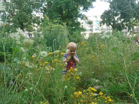 Inmitten einer Wildblumenwiese mit hohen Gräsern und verschiedenen Blumen wird ein blon-des Kleinkind von den wuchernden Pflanzen überragt. Es hält sich die Hände an die Wangen und betrachtet gelb blühende Sonnenhut-Blumen vor sich. Im Hintergrund steht eine Frau und schaut herüber. Hinter hohen Bäumen ragen Wohnhäuser auf.