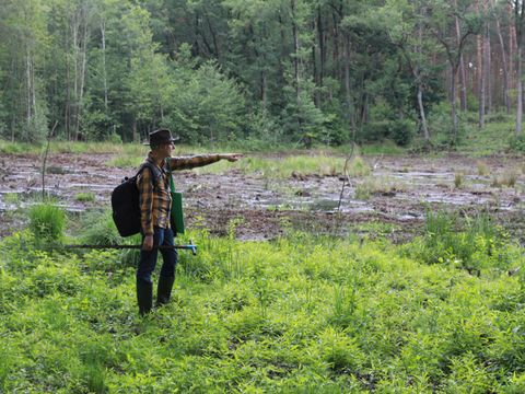 Im Moor steht auf grüner Vegetation ein Mann mit Hut, in kariertem Hemd und Arbeitshose und zeigt auf ein spärlich bewachsenes Moorgebiet mit vielen Wasserstellen. Der Mann hat einen Rucksack und einen Beutel geschultert und hält eine lange Stange. Im Hintergrund wird das Moor von Laub- und Nadelbäumen begrenzt.