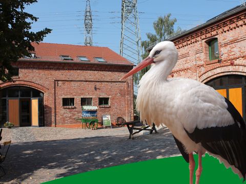 Eine Collage. Auf der rechten Seite ist ein Storch in Seitenansicht abgebildet. Ein grüner Streifen verläuft am rechten unteren Rand diagonal durch das Bild. Im Hintergrund stehen zwei sanierte rote Backsteingebäude der Naturschutzstation Malchow. Auf dem Hof mit Kopfsteinpflaster befinden sich ein kleiner, antiker Marktwagen sowie unter einem Baum Gartenstühle.