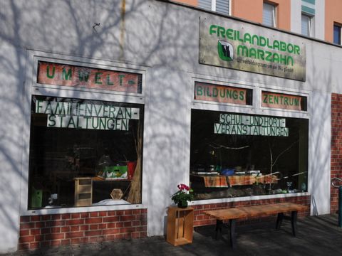 Ein Blick auf das Gebäude des Freilandlabors Marzahn: In der weißen Fassade mit Backsteinelementen befinden sich zwei große Schaufenster. Davor lädt eine Bank zum Verweilen ein, zwischen den Fenstern steht eine rosa blühende Topfpflanze auf einer Kiste. An den Scheiben kleben Papierbanner mit grüner Schrift: Umwelt Bildungszentrum, Familienveranstaltungen und Schul- und Hortveranstaltungen.