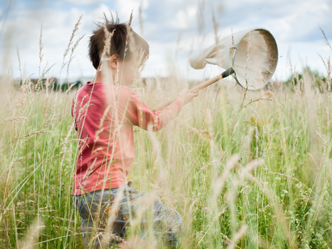 Auf einer Wiese. Von hohen Gräsern im Vordergrund teilweise verdeckt, geht ein ca. fünfjähriges Kind. Es hält einen Insektenkescher in der Hand. Das kurze Haar des Kindes ist braun. Es trägt ein langärmeliges pinkes Shirt und Jeans. In der Ferne ist zwischen den Halmen und Rispen der Gräser ein Waldrand erkennbar. Darüber spannt sich der blaue Himmel, der von weißen Wolken durchzogen ist.