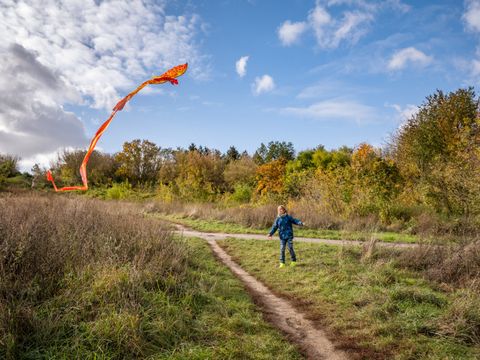 Eine herbstliche Landschaft. Am blauen Himmel stehen wenige Wolken. Zwischen Hecken, Büschen und Bäumen mit bunten Blättern kreuzen sich zwei schmale Pfade. Auf einem kleinen Wiesenabschnitt lässt ein etwa 8-jähriges Mädchen einen rot-gelben Winddrachen mit langem Schwanz steigen. Das Mädchen trägt eine blaue Jacke, Jeans und neongelbe Sneaker.