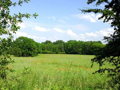 Der Barnim (Blankenfelde)