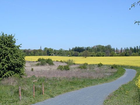 Barnim Weg, Raps