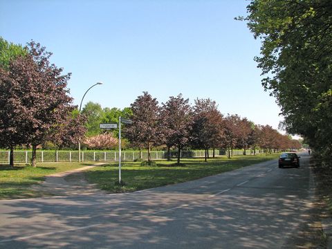Am Bürgerpark (Bild: Ina Dorendorf)