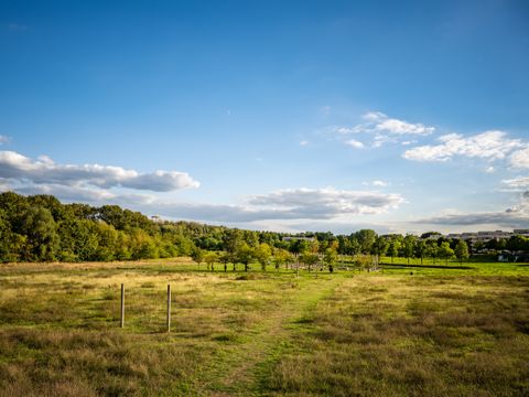 Wiesenpark an der Wuhle