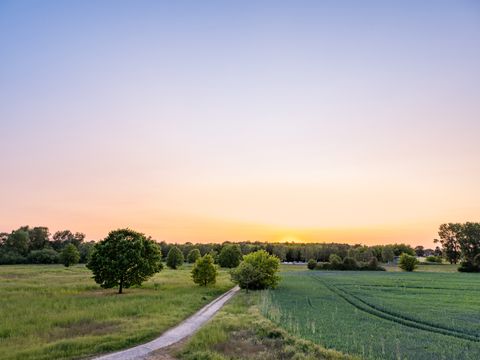 Feldlandschaft mit Wiesen, Bäumen und Weg, Sonnenuntergang am Horizont.