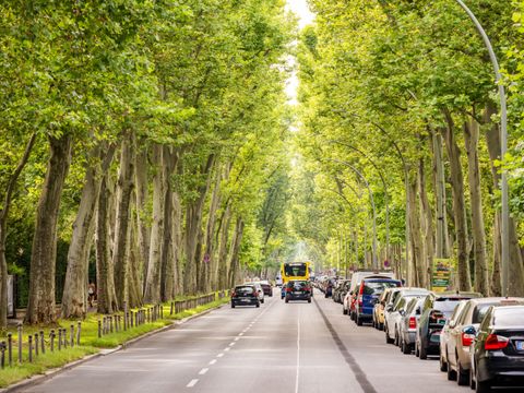 Verkehrswege, Wohn- und Gewerbeflächen: Überall in der Stadt prägt eine ansprechende Gestaltung und Begrünung das Erscheinungsbild der Stadt oder kann es verbessern.